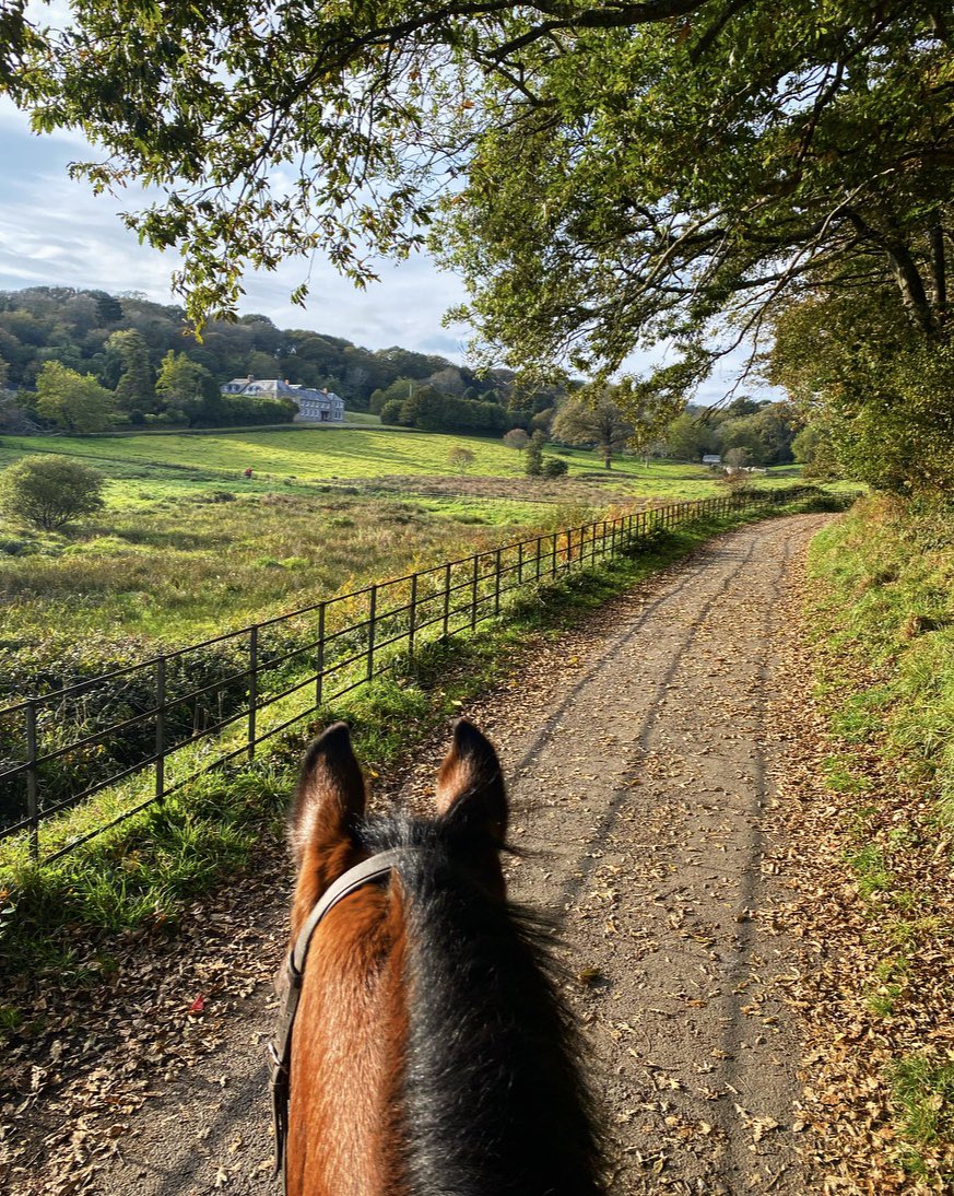 steph91thomas's tweet photo. #PenroseEstate #Helston #Hacking #HelloOctober ☀️🧡 https://t.co/izdCIvEG76