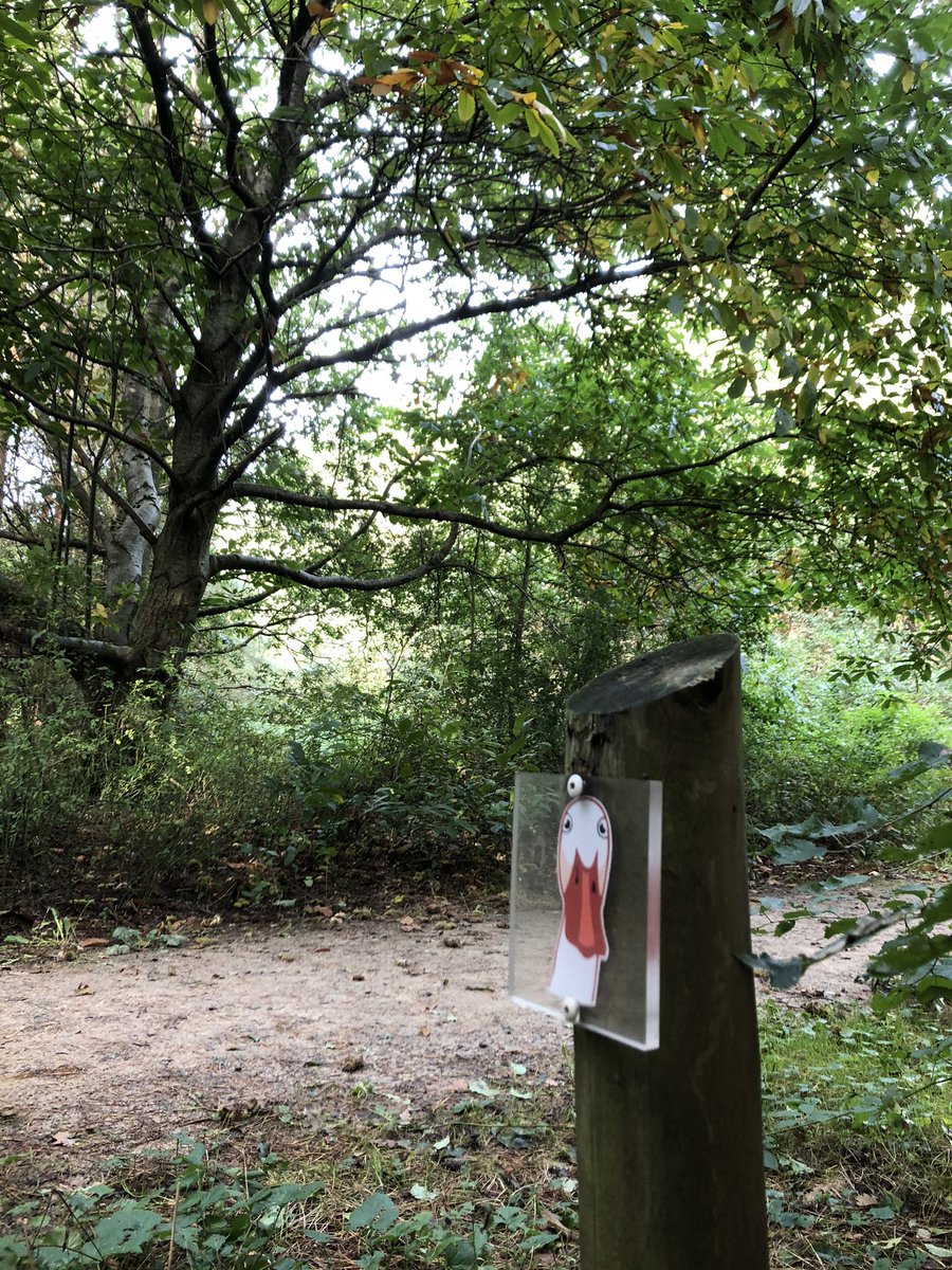 Herfstvakantie in Westerwolde? Loop dan het Ganzenpad. Een mooie wandeling (ca 2 km) met opdrachten onderweg. Start bij de molen aan de Wedderweg.