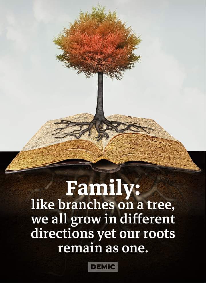 BG (@bhrgtm) on Twitter photo 