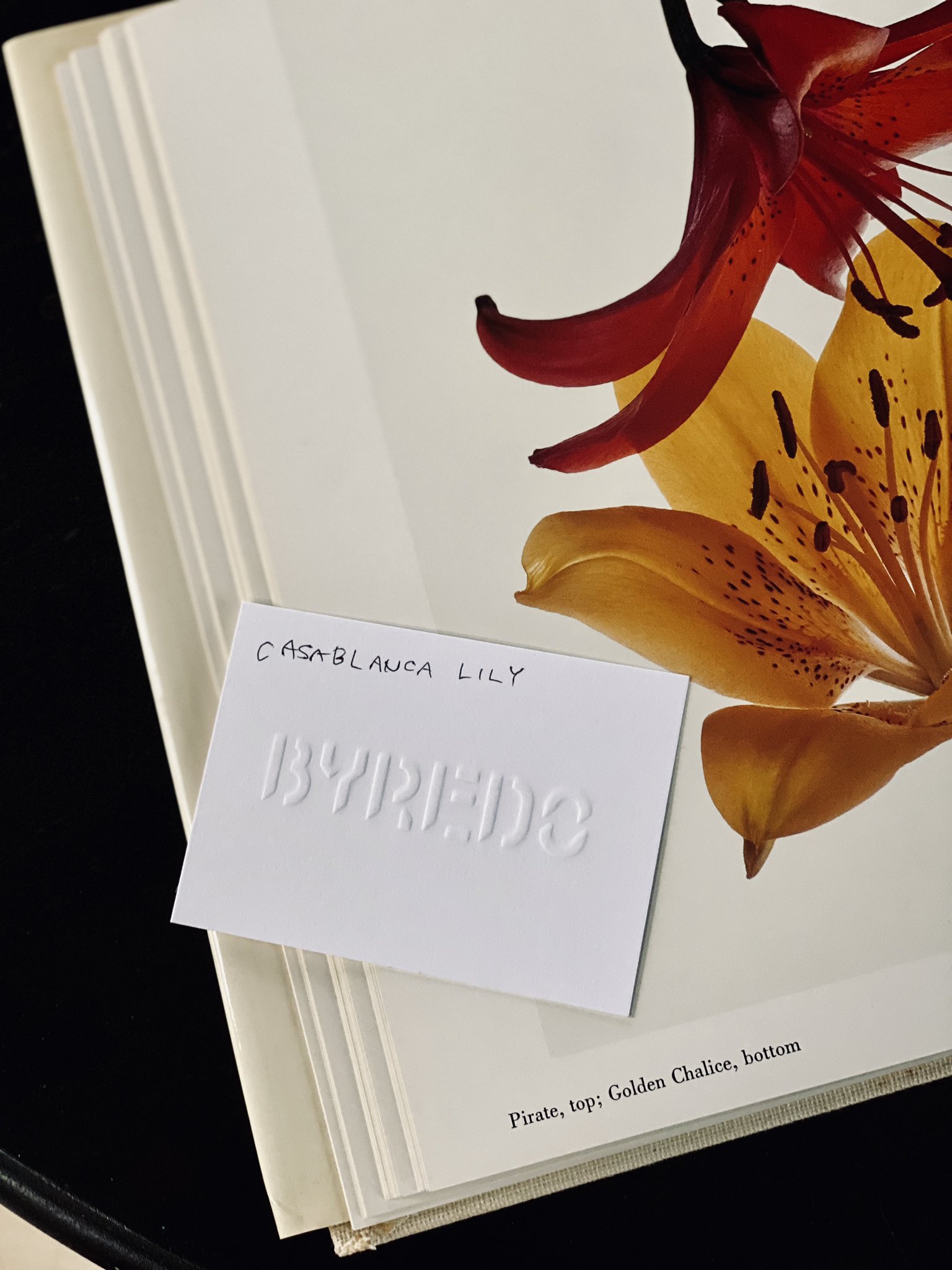 香水日記 Byredo Night Veils カサブランカリリー エクストラだし値段高めで二度見だし買わないだろうと思いつつ軽い気持ちでお試ししたら 良い匂いで大変なんです ローズウッド ハチミツ チュベローズ ワイルドガーデニア ブラックプラム 夜豪華に