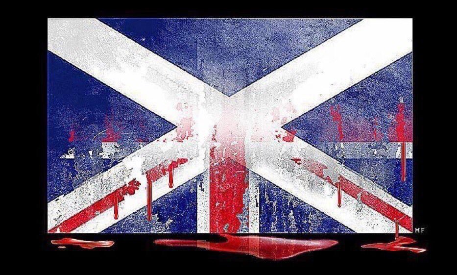 @AlvaroDeMelojr1 @UKChange Just wash the blood out. https://t.co/eXr5NETEVC
