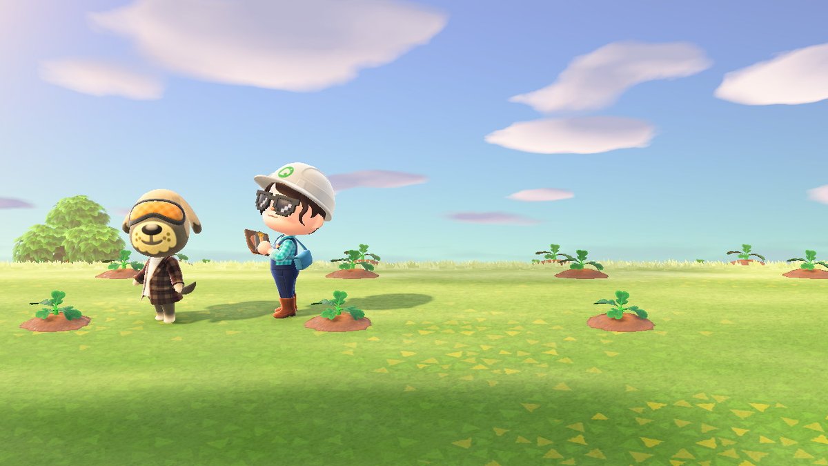 leben2029's tweet photo. #동물의숲 #AnimalCrossing #ACNH #NintendoSwitch https://t.co/rIdY7fHZFh