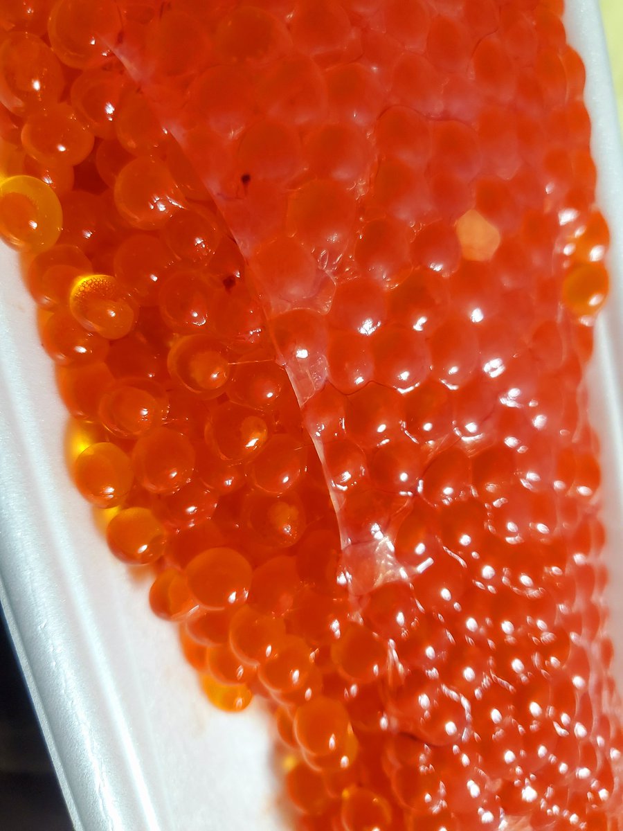 みかなみ いくらは寄生虫対策兼ねてお湯でほぐす方式でやったら一瞬でほぐれた 醤油と酒1対1で漬けた