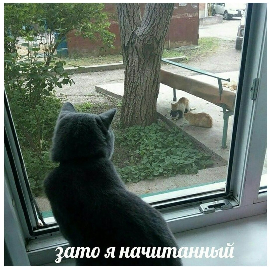 EkmQ5v_XUAArKnN?format=jpg&name=medium