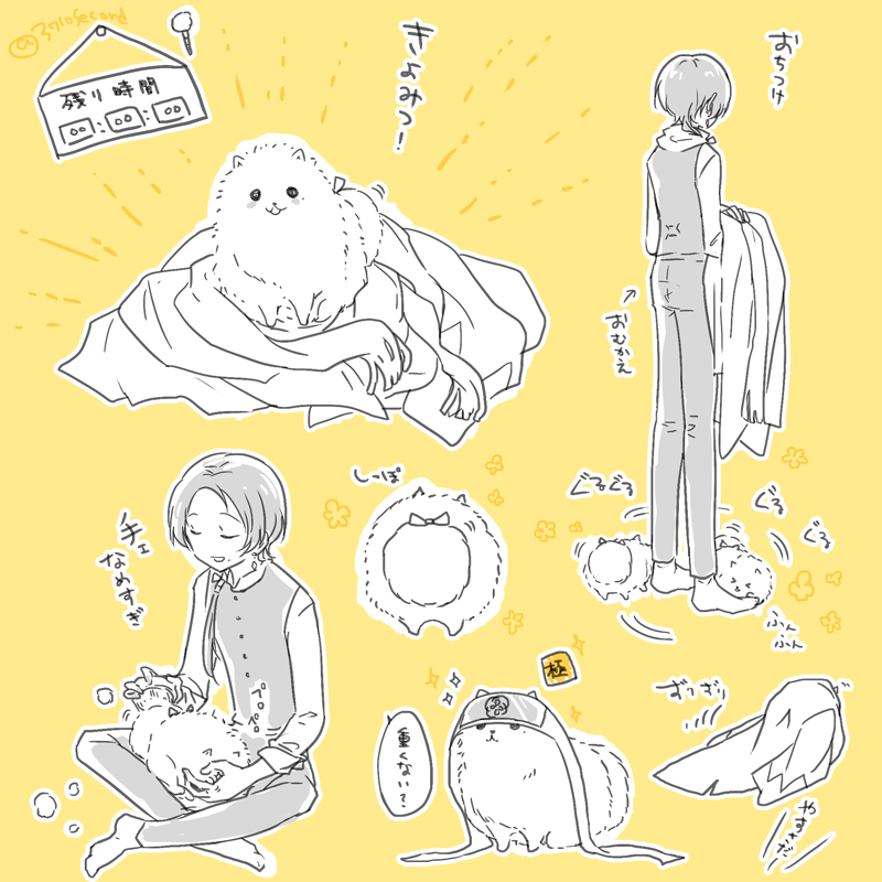 おまけポメ 