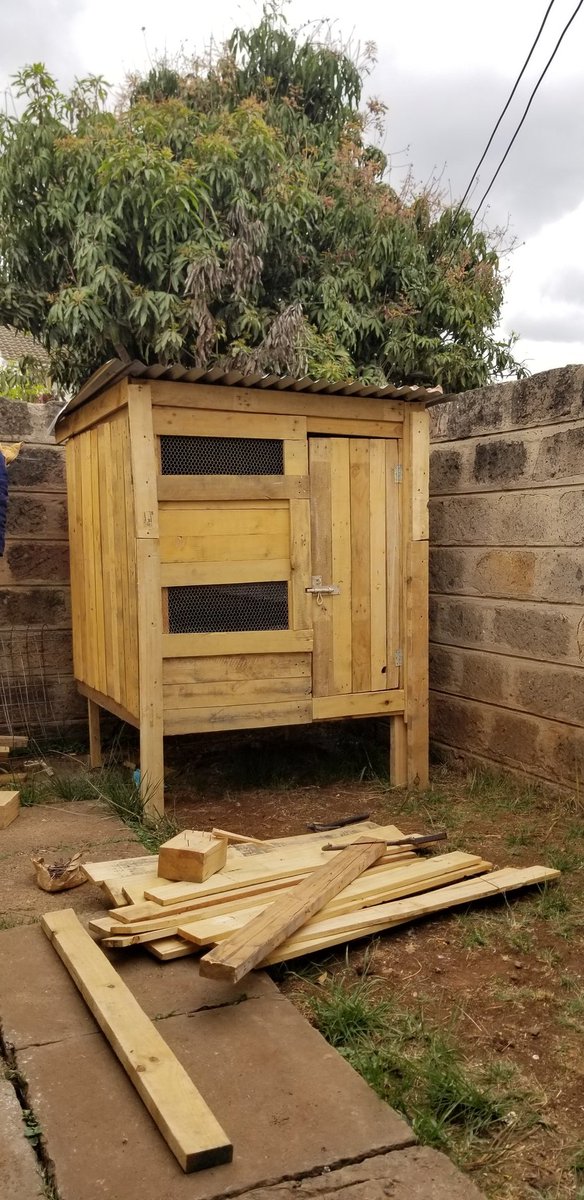 Finally nyumba ya kuku imesimama. &ndash; bei  Imara Daima