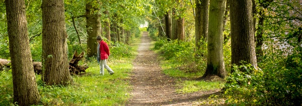 Vanochtend is onze oktober nieuwsbrief uitgekomen. Veel plezier met het lezen ervan op deze mooie zondag.
mailchi.mp/4c6d4911ddac/p…