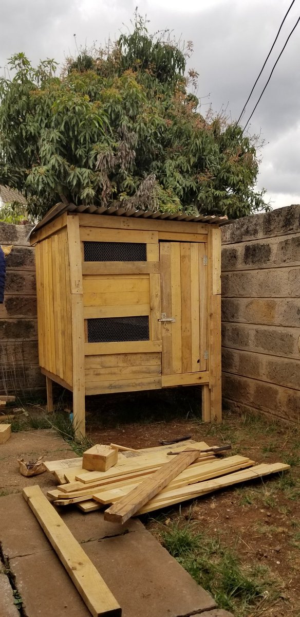 Finally nyumba ya kuku imesimama. &ndash; bei  Imara Daima