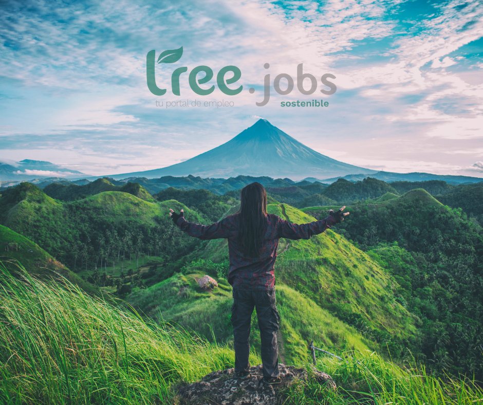 Tree jobs - tu portal de empleo sostenible tweet media