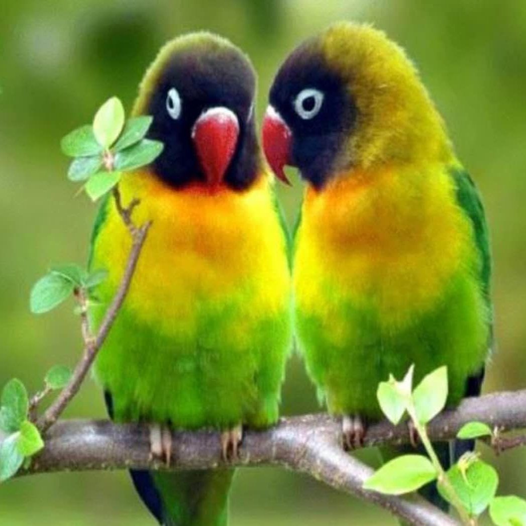 LairumbeJ's tweet photo. #NewProfilePic https://t.co/admlAXpsNx