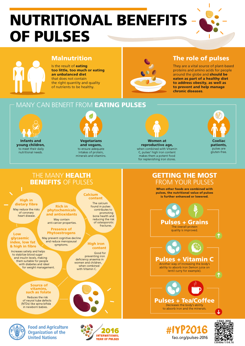 DecBeacons's tweet image. "World Pulses Day?" I hear you ask!

Pulses are a great and sustainable way to achieve #ZeroHunger, and also a great staple for a modern diet! 

As we increase our plant based sources of nutrition to combat #ClimateChange, why not pick up some pulses with your next shop!