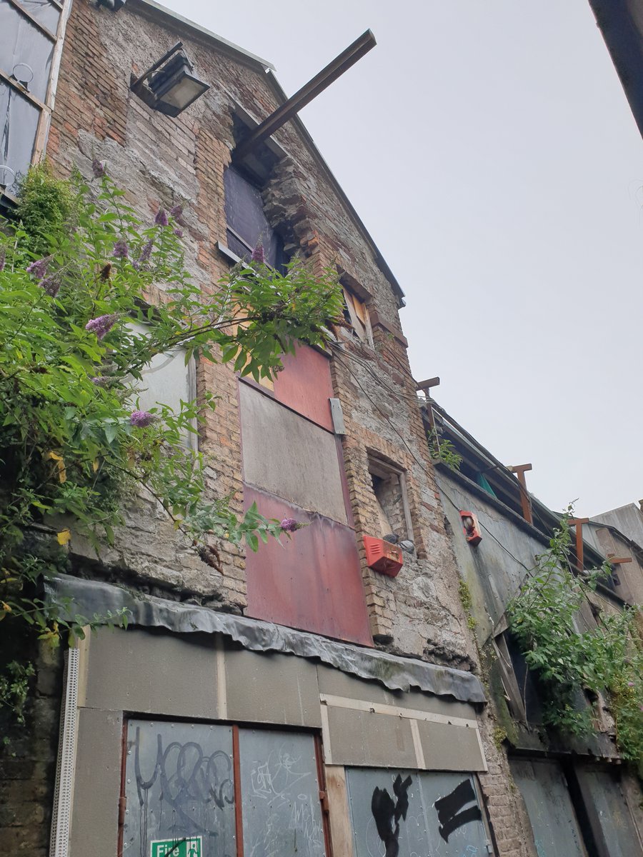 a hidden gem in Cork city centre this historic warehouse on Grafton St (formerly Graftons Alley) is slowly crumbling, yet its off Corks main shopping streets very sad to see this level of decay, so many lost opportunitiesNo.131  #regeneration  #respect  #heritage  #economy