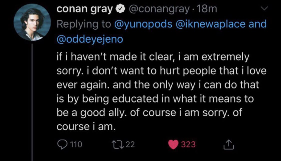 3. the lesbian situation in 2018 Conan tweeted saying that “he was a lesbian” (tweet down below), i as a lesbian don’t particularly think that was hurtful, but that is my opinion. He apologized for these tweets (down below) Calling Conan “homophobic” -