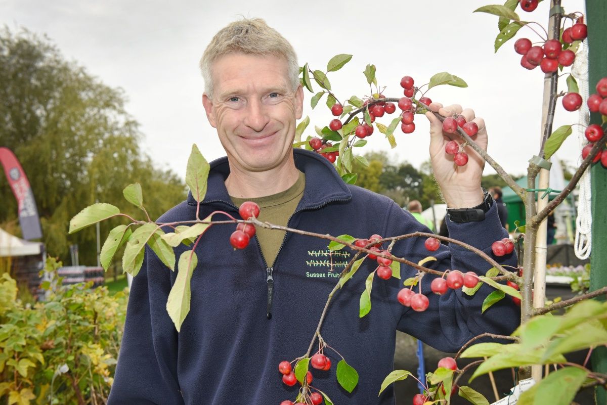 Firle Garden Show tweet media