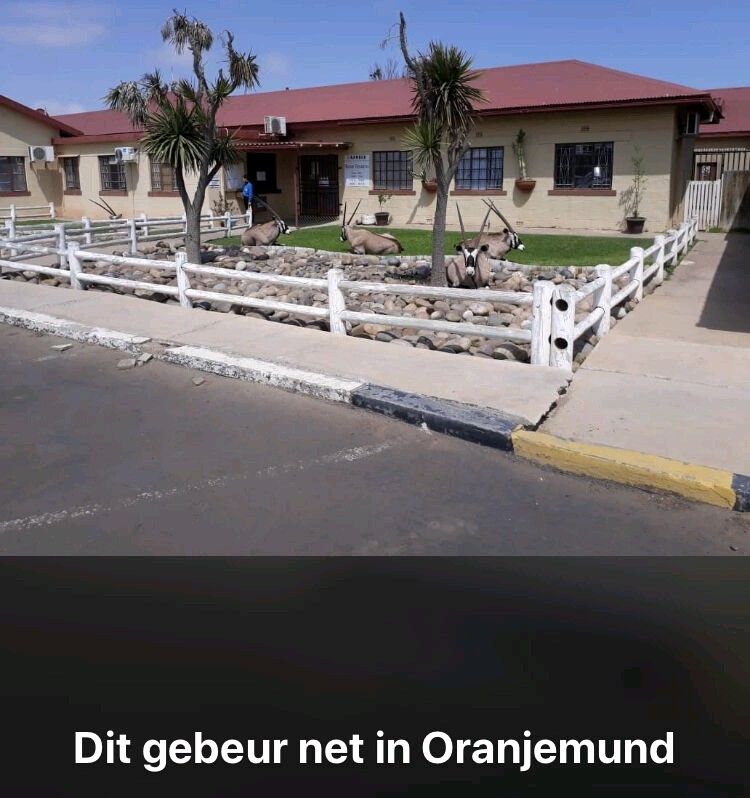 BookBuddyOnline's tweet photo. #OnlyInNamibia A peaceful protest in progress at an office in Oryxmund...I mean, Oranjemund. https://t.co/KI8gvMTPHJ