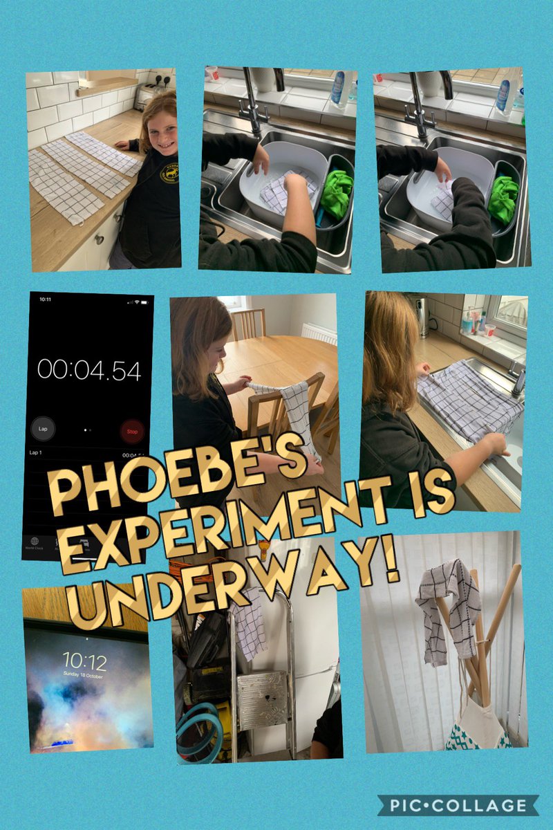 deb lowe tweet media