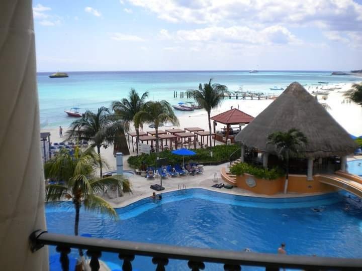 franckberra tweet media