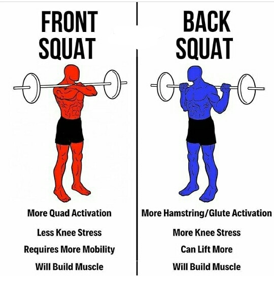 Hardcorefittnes's tweet photo. ✔️🏋 Front Squat VS Back Squat 🏋💯

Follow @Hardcorefittnes for more 

For more information visit my website 
https://t.co/E8JnBVq0Pr

#frontsquats #backsquats #glutes #lowerback #Preworkout #deadlift #protein #muscle #workout  #fitness #bodybuilding #Postworkout #gymmotivation https://t.co/MRWssAD6Ym