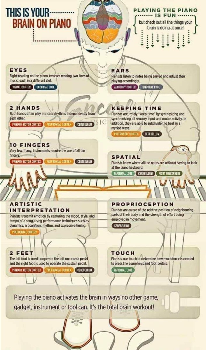 MusicVarndean1's tweet photo. All of @VarndeanSchool KS3 students are using keyboards this term (thoroughly wiped down after every lesson) and this is why.

#totalbrainworkout #learnaninstrument
#musiceducation
#MusicIsLife https://t.co/Be9HoiJfxE