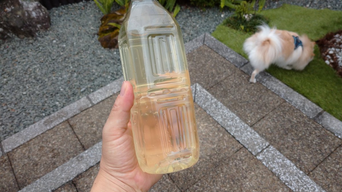 あやもん Ayamonchannel Twitter あやもん Ayamonchannel Twitter