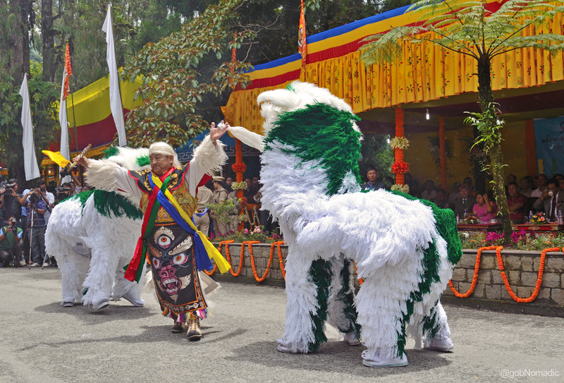 Sikkim- Singhi Chham -from the brother state, dancers perform in lion costumes representing the snow lion. From the Bhutia people, the dance is companied by a single drummer. It is considered to hold religious beliefs to the peaks Kangchenjunga’s snow felines.