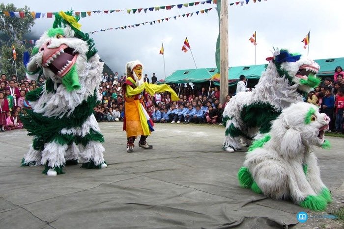 Sikkim- Singhi Chham -from the brother state, dancers perform in lion costumes representing the snow lion. From the Bhutia people, the dance is companied by a single drummer. It is considered to hold religious beliefs to the peaks Kangchenjunga’s snow felines.