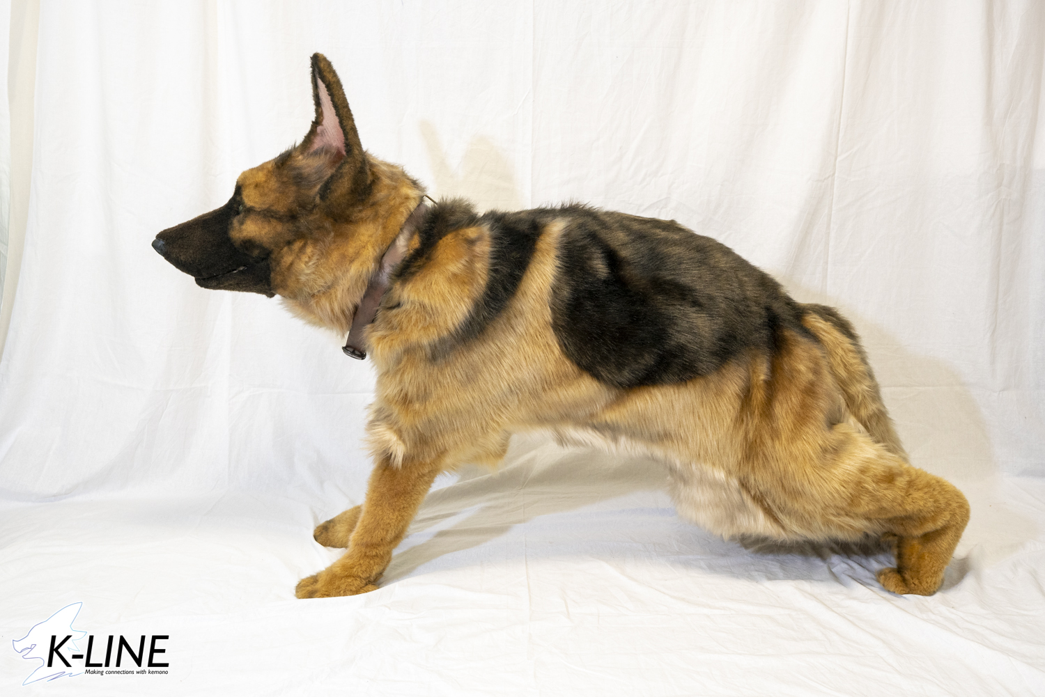 K Line デザフェス両日k 110 展示作品紹介 ヘロヘロqカムパニー第38回公演 菊花大作戦のナポレオン役で活躍したシェパードを展示初公開致します 期間中会場内をちょこまか動く機会もありますよ お楽しみに 進化と深化のケモノ展 Kemonoline Event