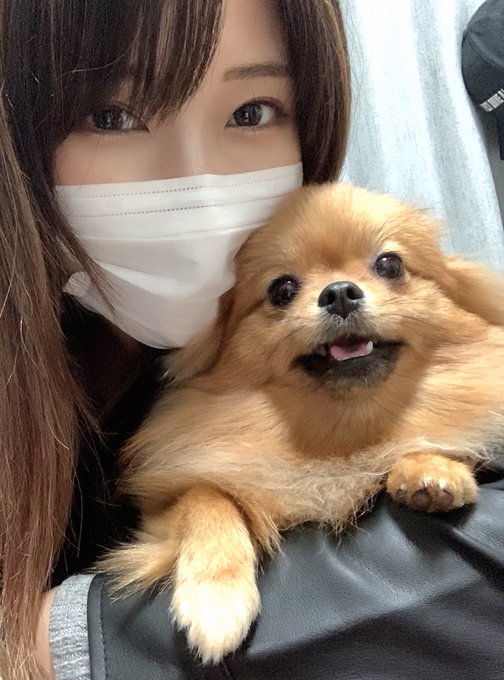 コスプレイヤー成賀久瑠王 (なるがくるみ)のTwitter画像38