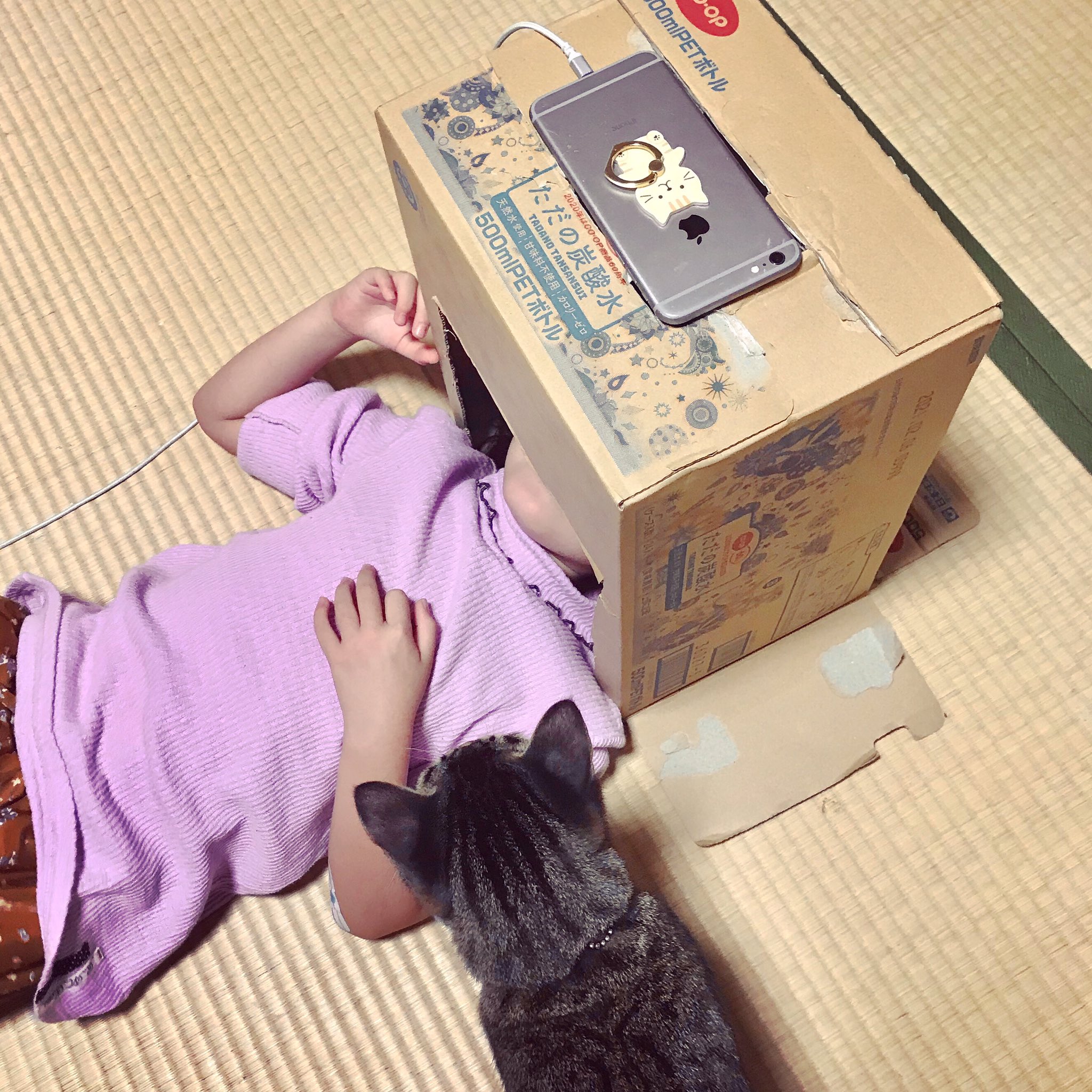 力作 自分だけの映画館 子供の考える事ってすごいw 話題の画像プラス 力作 自分だけの映画館 子供の考える事ってすごいw 話題の画像プラス