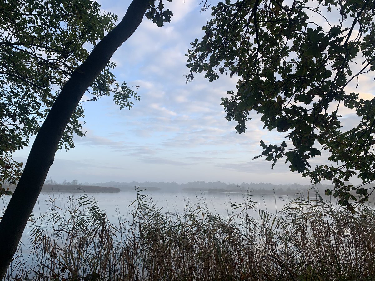 AstridBron's tweet photo. @MRTfotografie Heerlijk rondje gestept #Ankeveen #lekkerbuiten https://t.co/RLHsuagV9b