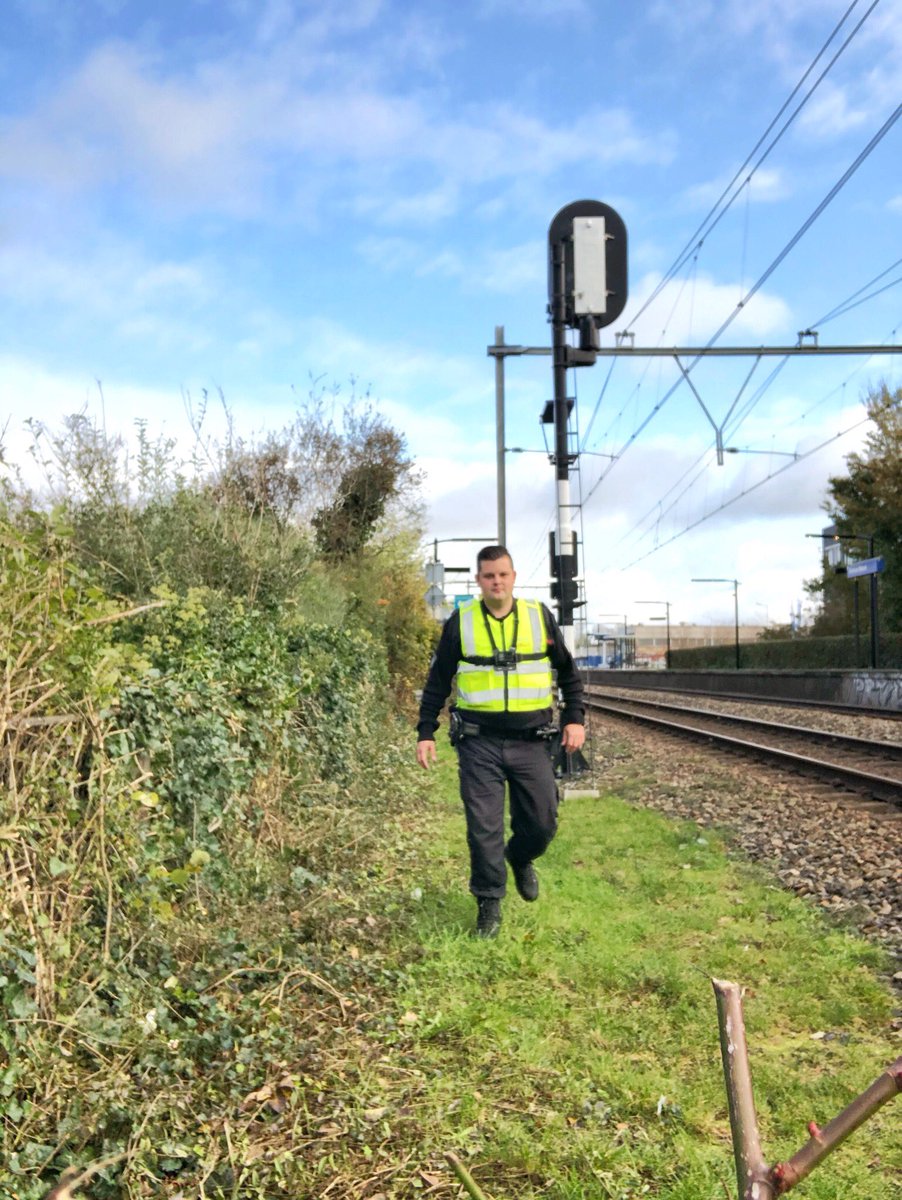 Jeroen van Rossum tweet media
