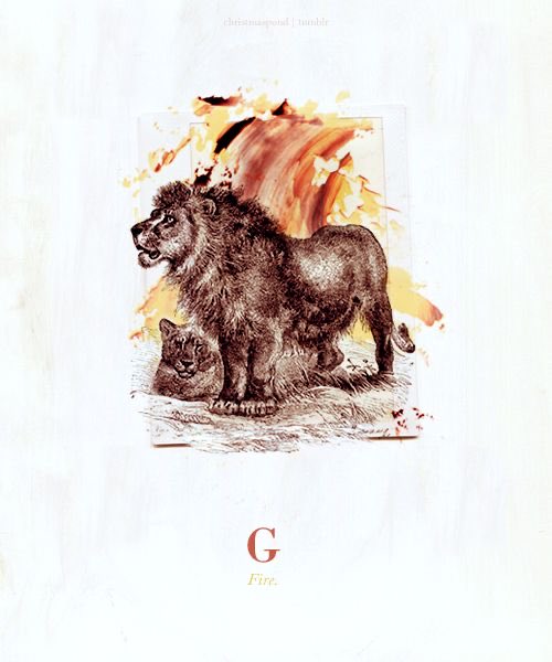 Gryffindor corresponds to the element of fire, and it is for this reason that the colours scarlet and gold were chosen to represent the house. The colour of fire corresponds to that of a lion as well, with scarlet representing the mane and tail and gold representing the coat.