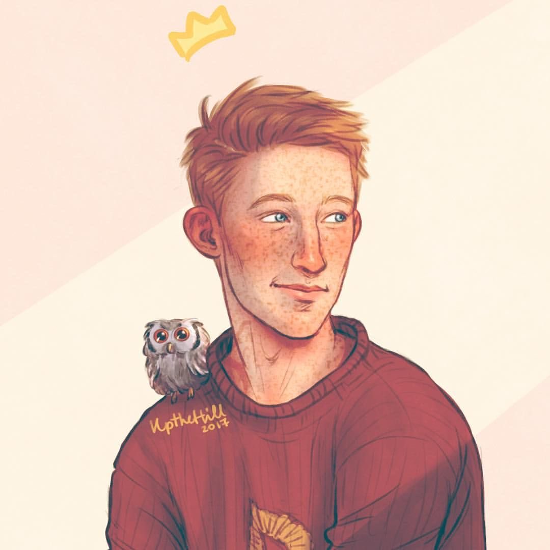 𝑹𝒐𝒏𝒂𝒍𝒅 𝑾𝒆𝒂𝒔𝒍𝒆𝒚, prefect during his fifth year, keeper on the Gryffindor Quidditch team, and Deputy Leader of Dumbledore's Army; He also played an important role into defeating the Dark Lord, by destroying an horcrux(art by UptheHill on ig)