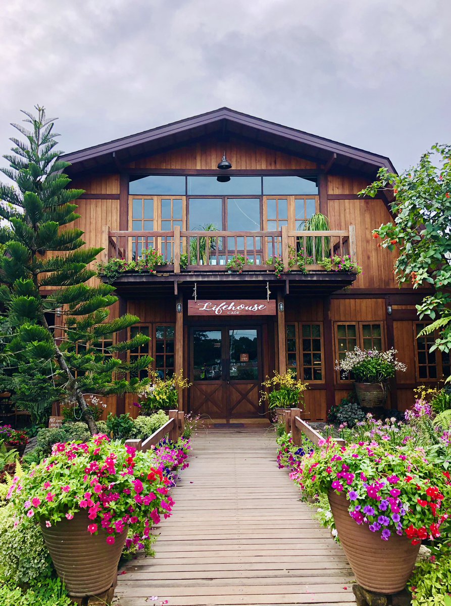 marloweCeeJay's tweet image. A local café on Route 304 (Pak Kret to Korat) with tasty dessert choices, perfectly blended drinks, and a huge collection of ornamental plants #termbreak