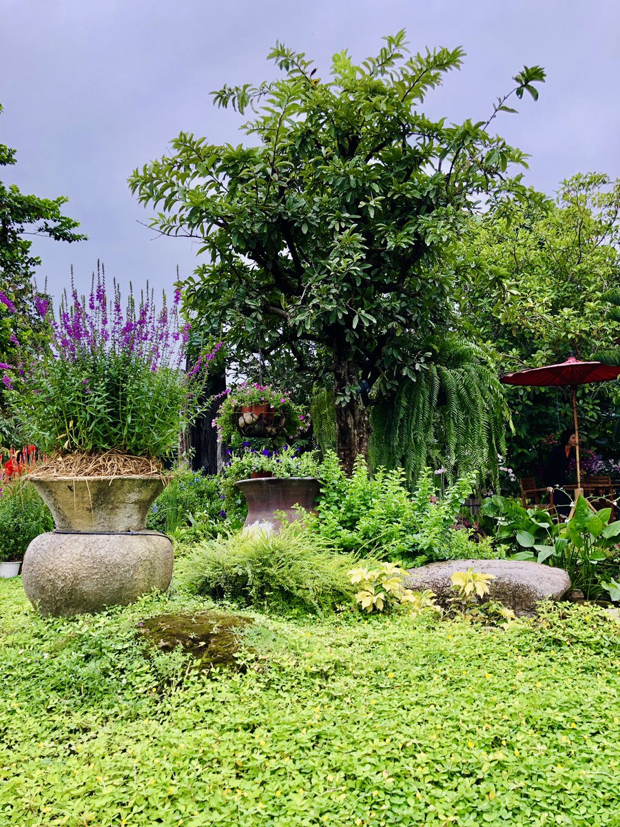 marloweCeeJay's tweet image. A local café on Route 304 (Pak Kret to Korat) with tasty dessert choices, perfectly blended drinks, and a huge collection of ornamental plants #termbreak
