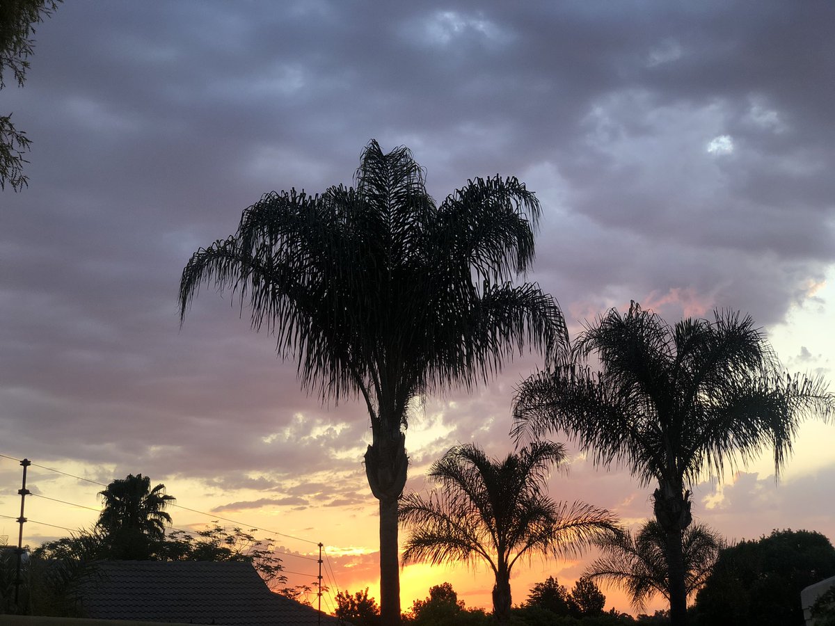 African Sunsets 🌅