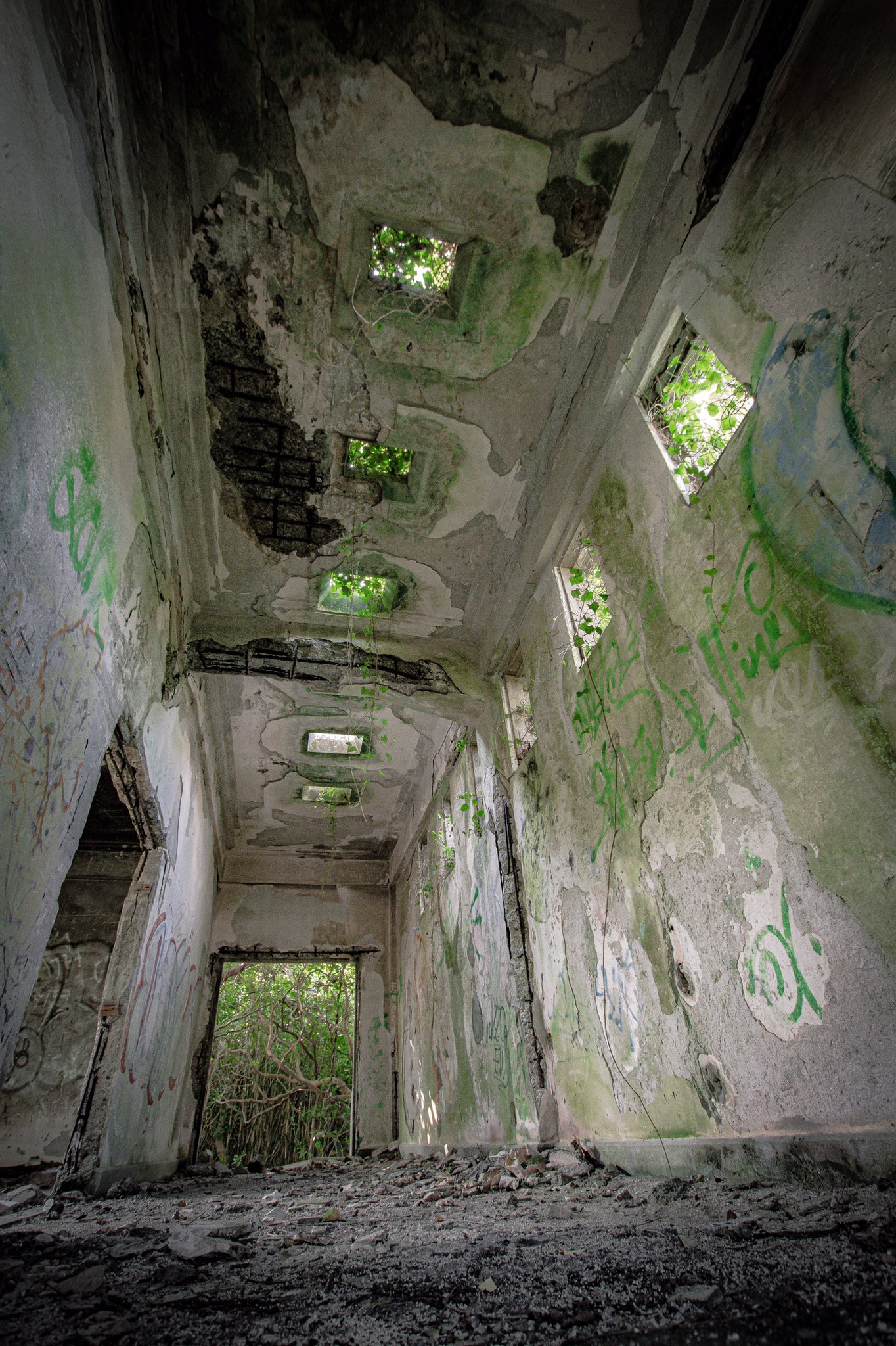 あまね 緑の遺跡 廃墟 戦争遺構 T Co Wtnherpaux Twitter あまね 緑の遺跡 廃墟 戦争遺構 T Co Wtnherpaux Twitter