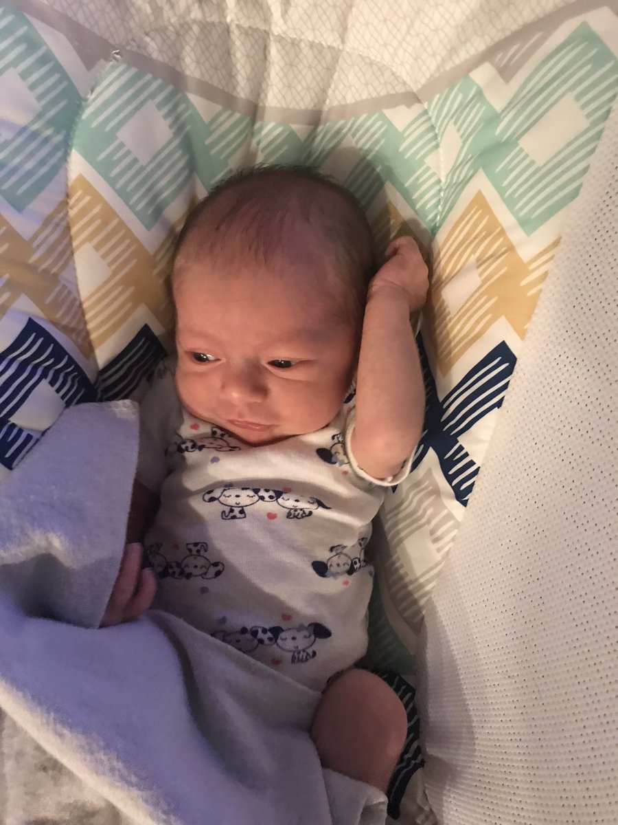 birdnicer's tweet photo. @aemarachlian look I got another one #baby boy https://t.co/uBEmdVGCMB
