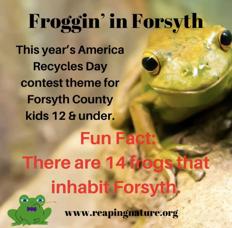 TeacherReuse's tweet photo. Forsyth County kids - Enter to win our America Recycles Day and Earth Day contest (being held this fall due to Covid). Cash prizes donated by #sawneewomansclub.
#environment #contest 
#americarecyclesday  #earthday #frogs #frogsofforsyth 
#forsythcountyga 
https://t.co/mIj4cjbc9x https://t.co/CaCgxhl6q1