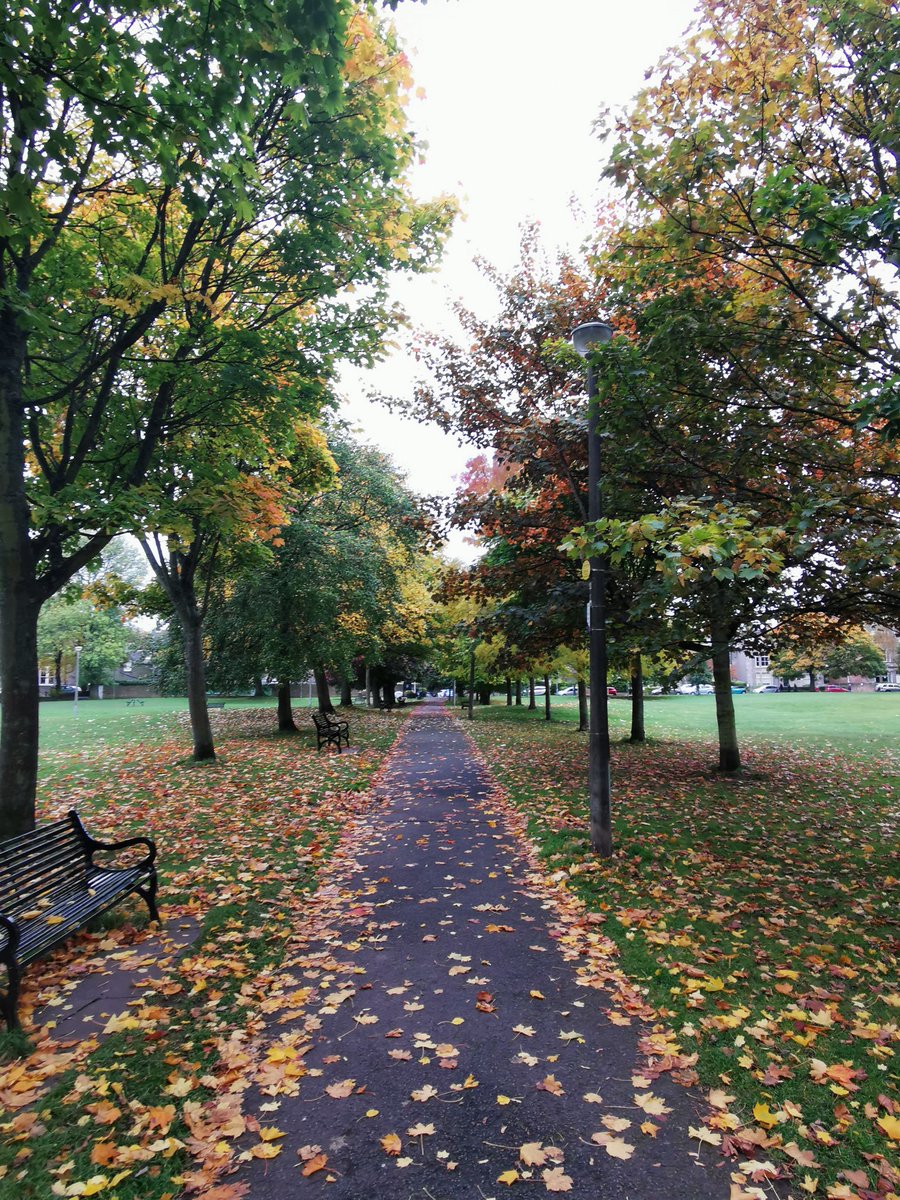 #Autumn definitely arrived #Edinburgh #bruntsfield #bruntsfieldlinks #Autumn #autumncolors @BruntsfieldMinx @MarchmontEtc