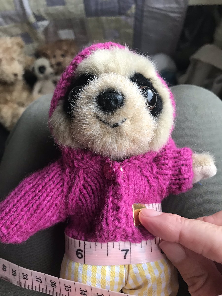 FredTedOlga's tweet photo. Olga has a little hoodie - £3 plus P&amp;P (the hood is a tad small) https://t.co/KbJmZlC4lc
