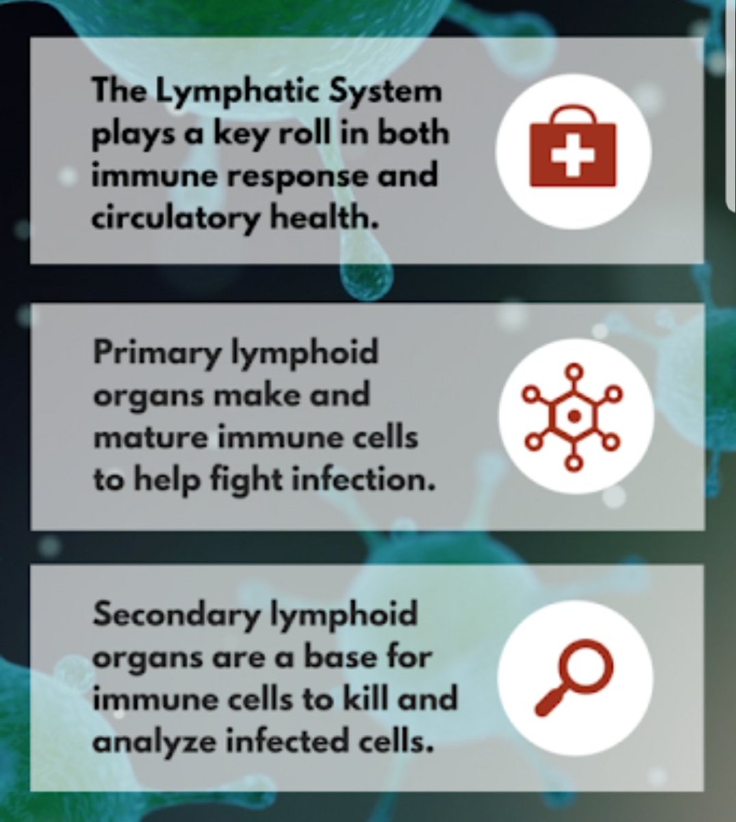 Bodyandsolecli1's tweet image. We are now offering Manual Lymphatic Drainage Therapy !
Get in touch to book your session and ask about our introductory offer 🤗
#bodyandsoleclinic
#manuallymphaticdrainage
#wolverhampton 
#massagetherapy
#HealthyLiving 
#lymphedema
#Wellbeing 
#massage
#naturalhealth