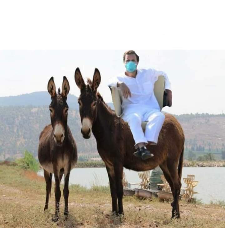 AkalLess's tweet photo. ये कब हुआ😂😂😂😂
#rahul_lahori #राहुल_लाहौरी https://t.co/lTqEp98eRq