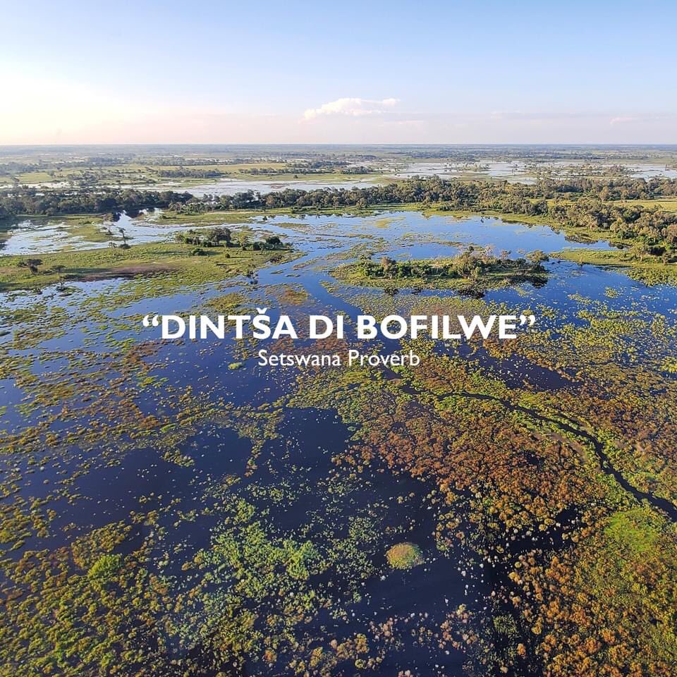 PskTours's tweet photo. The county of natural resources and beauty of wild rose and animals visit Botswana https://t.co/vL1MNOAedk