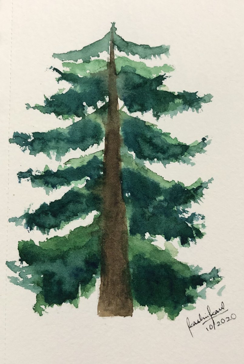vineetkaul's tweet photo. After four days of intense Cold War between @kashvi_kaul and me a peace deal was brokered via back channel diplomacy lead by @Synkiser. 

In the mean time here is how Kashvi spent her four days 😊

#art #watercolour https://t.co/PdtobnrWrr