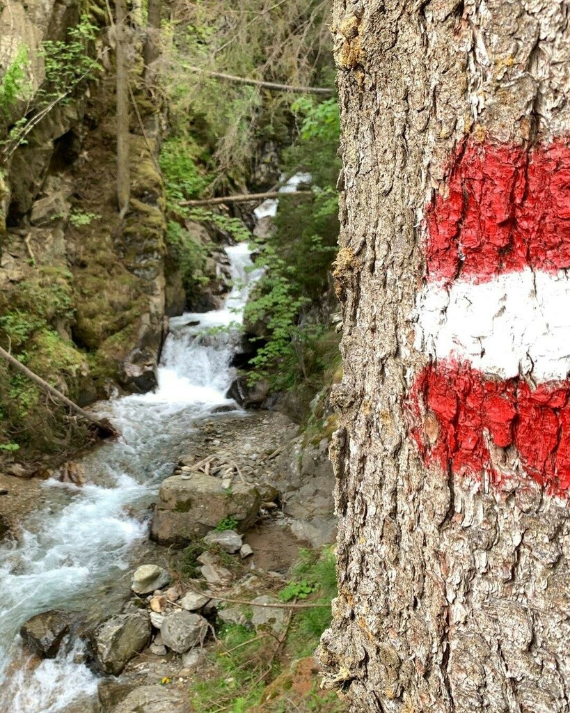 50 Kilometer von der Graggerschlucht bzw. 152 Kilometer von Graz entfernt, nahe der Bundeslandegrenze zu Salzburg befindet sich der Günstner Wasserfall. Wem der Spaziergang durch die Graggerschlucht zu wenig ist, der kann den Besuch mit einer zusätzliche… instagr.am/p/CGfY4qLCWdG/