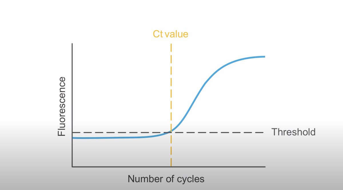 𝟗 What is Cycle Threshold (Ct) value? It’s the number of cycles of qPCR amplification required for the fluorescence signal to be detected crossing a threshold, which is above the background signal (a low level signal that is present in the assay regardless of presence of virus)