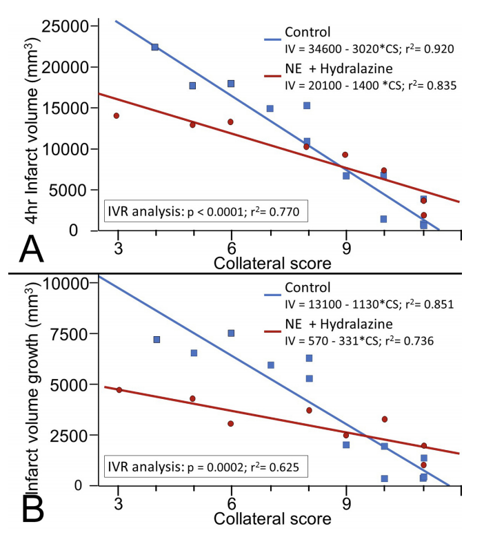 JNIS_BMJ's tweet photo. Saadat et al: Influence of simultaneous pressor and vasodilatory agents on the evolution of infarct growth in experimental acute middle cerebral artery occlusion. https://t.co/kIHFsJBhZZ https://t.co/UoKNTpSDFg