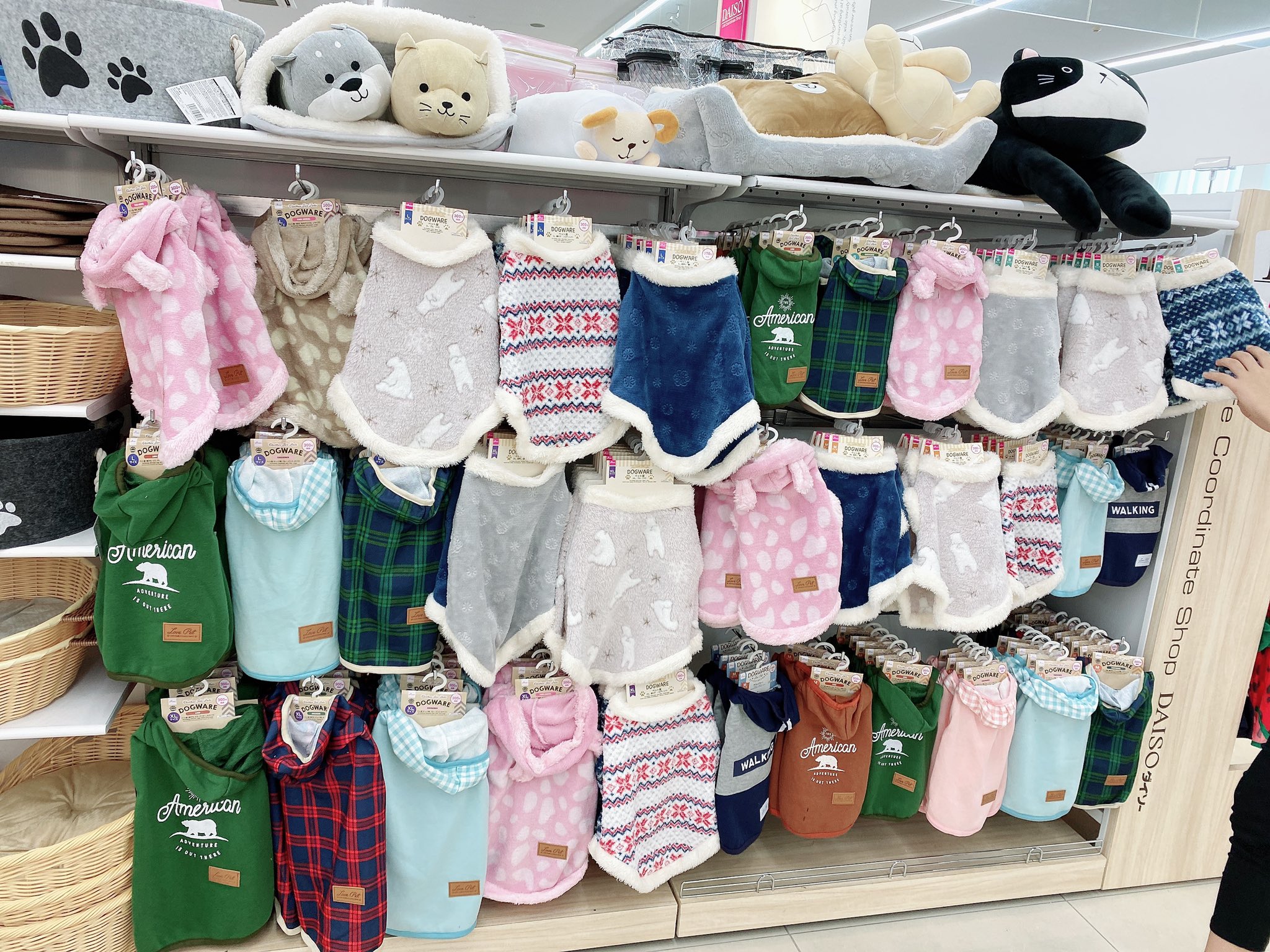 きんちゃん ダイソーのペット服が 激アツでした Xlの扱いもあって最高です ダイソー Daiso ペット服 犬服