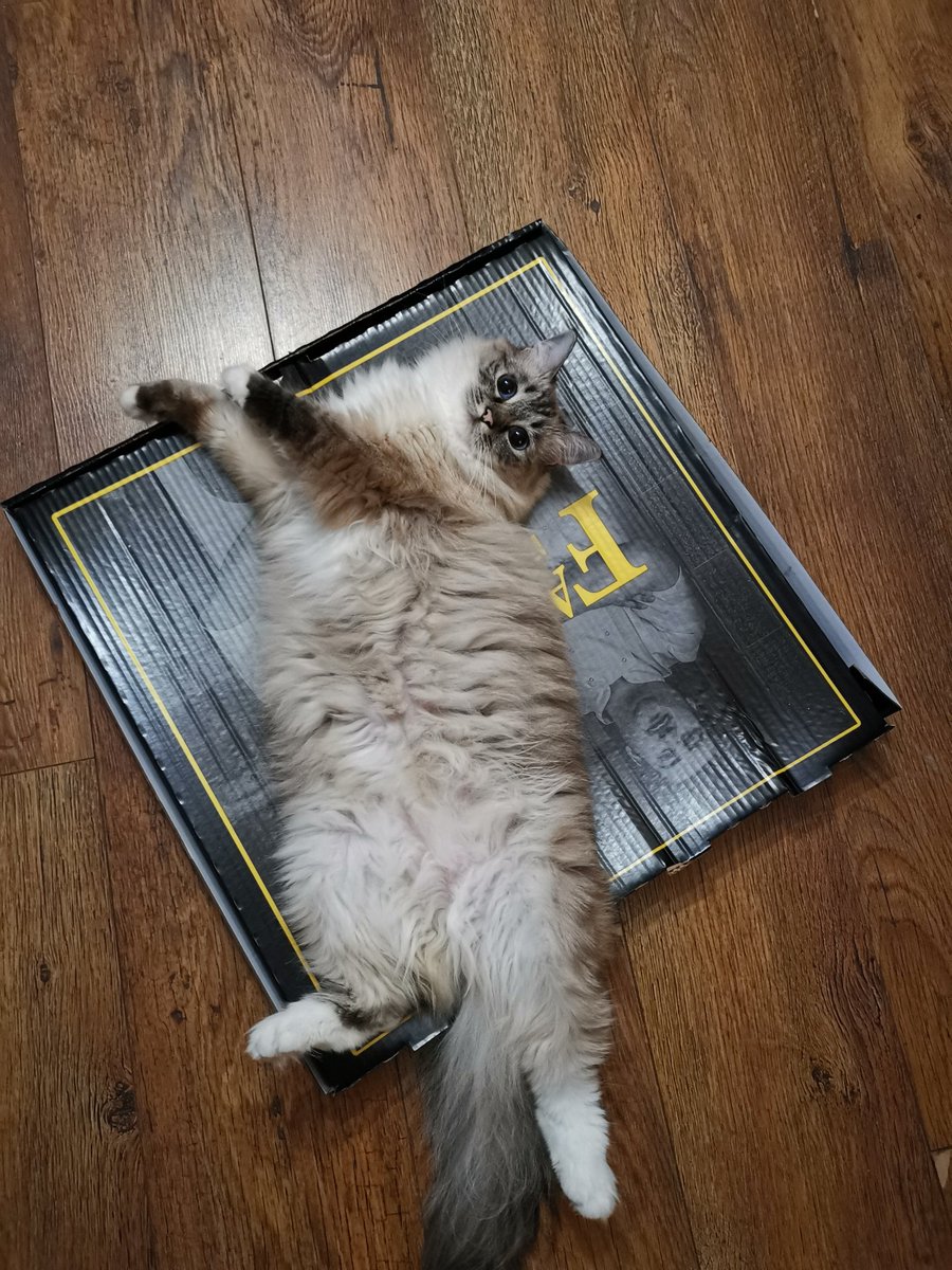 Dave Bundred tweet media